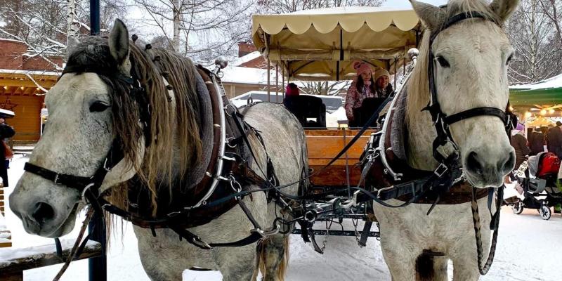 Vierailevat eläinystävät