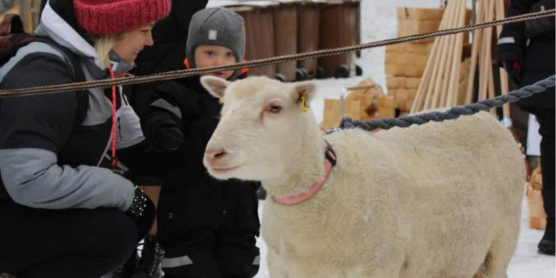 Vierailevat eläinystävät